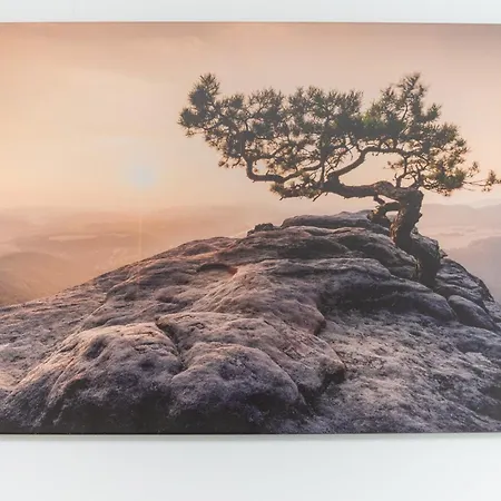 Park Skowroni Cosy By Bookinghost Breslau