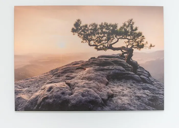 Park Skowroni Cosy By Bookinghost Вроцлав